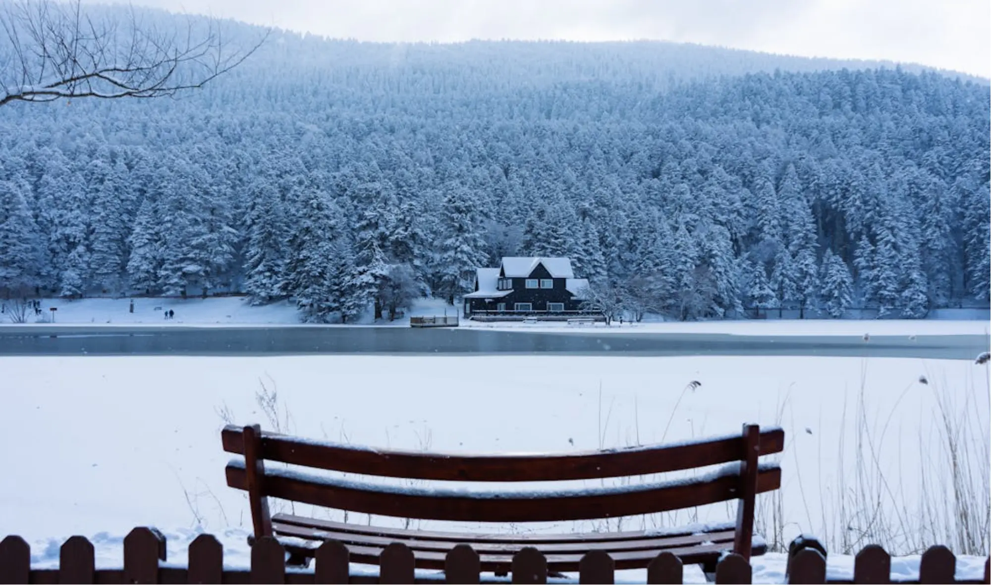 Private Lake Abant Nature Day Trip from Istanbul