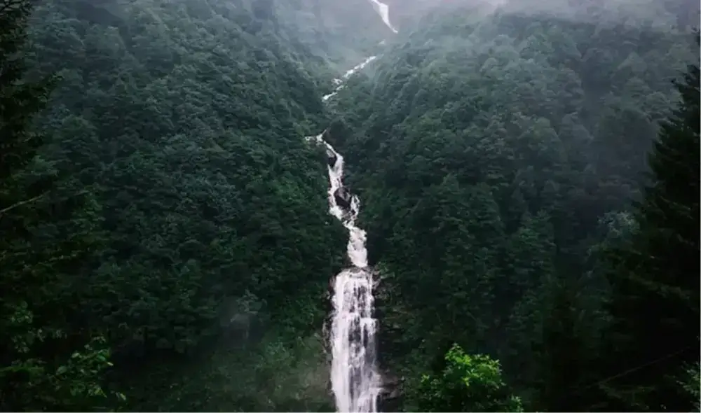 Ayder Plateau Tour from Trabzon