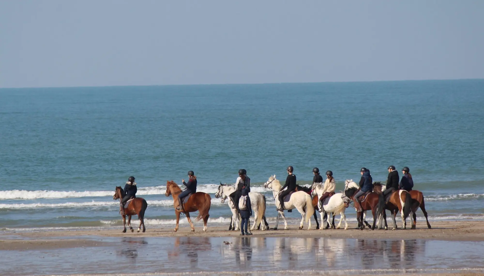 Horseback Riding Tour