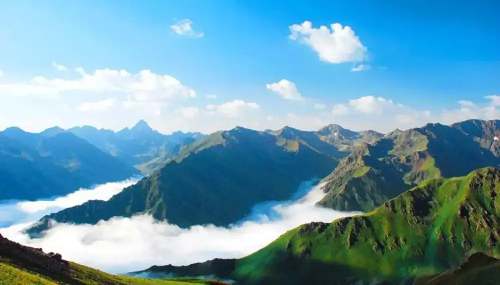 Pokut & Sal Plateau Tour from Trabzon