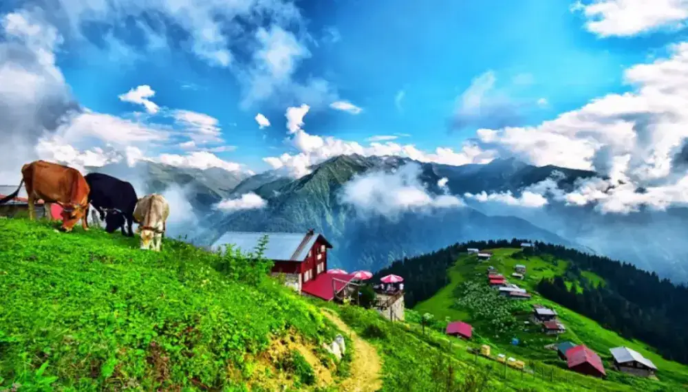 Pokut & Sal Plateau Tour from Trabzon