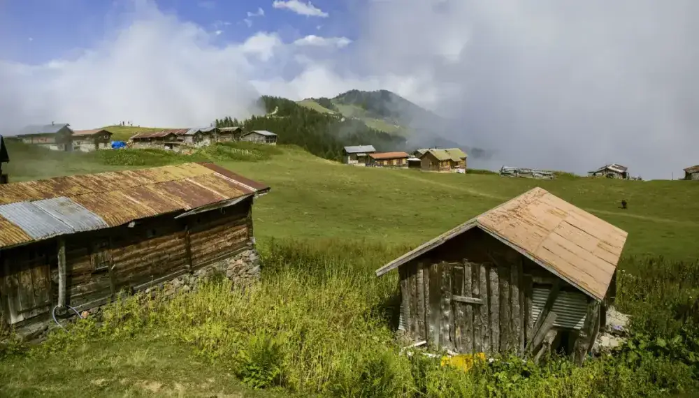 Pokut & Sal Plateau Tour from Trabzon