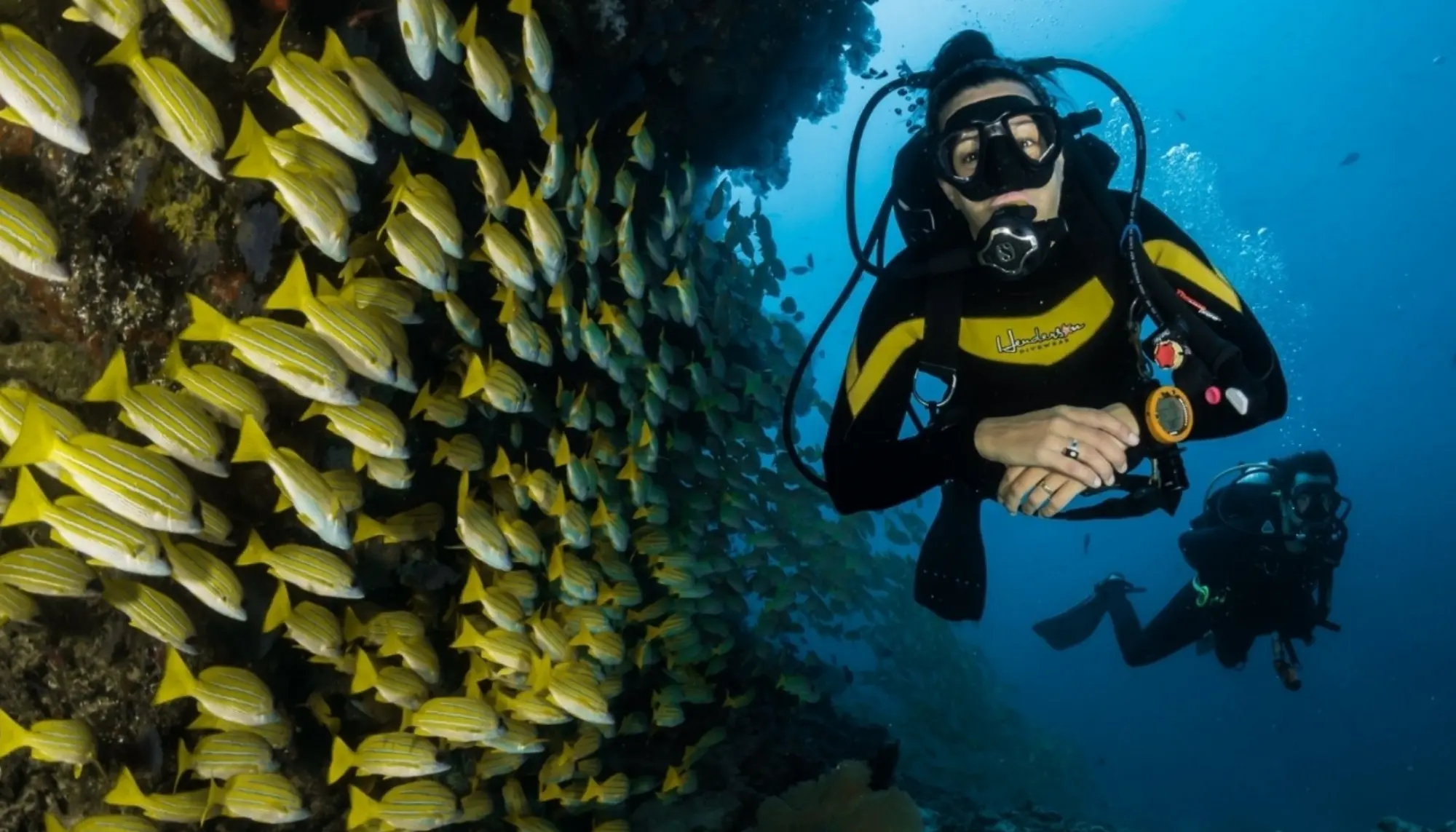 Scuba Diving Tour