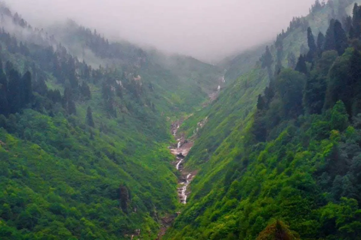 Private Ayder Plateau Tour