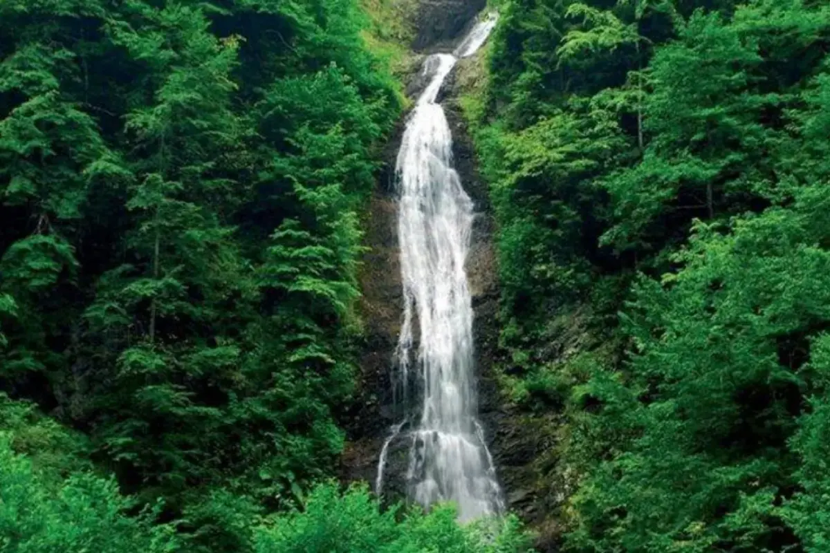 Private Ayder Plateau Tour